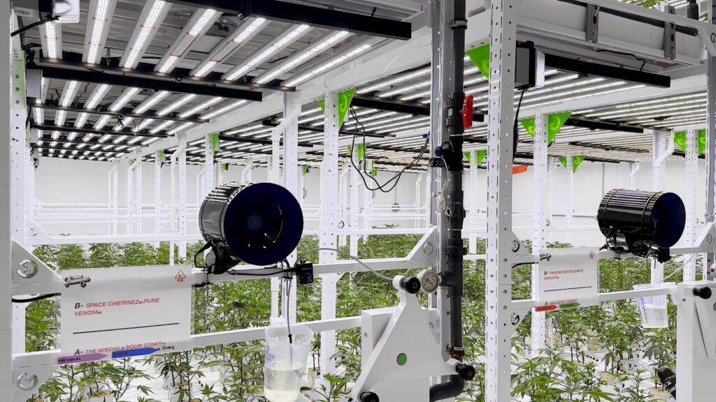 The Approach: Anticipation and Advocacy